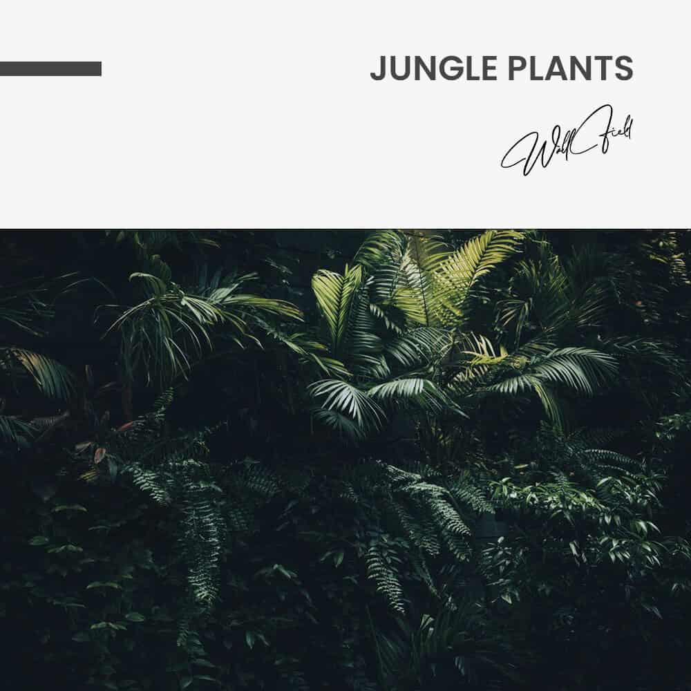 Jungle plants - Glas