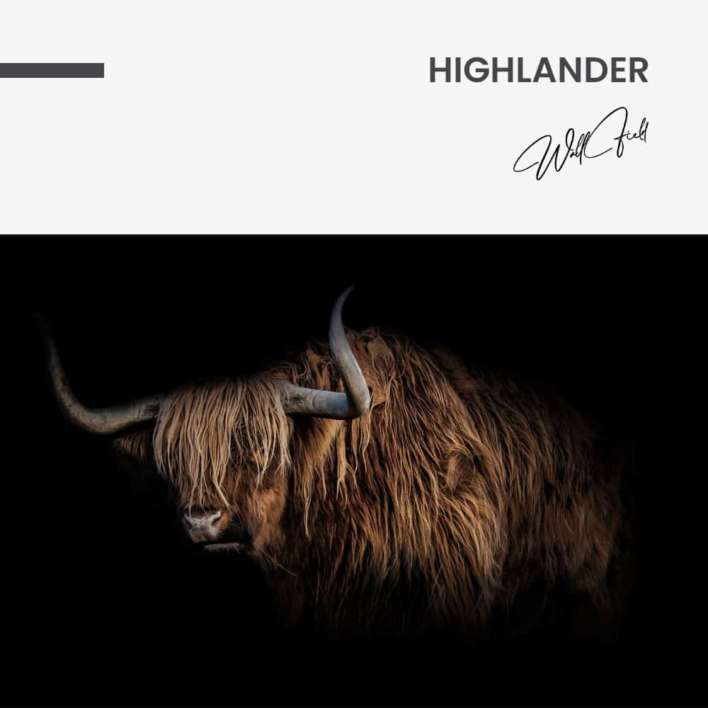 Highlander – Glas