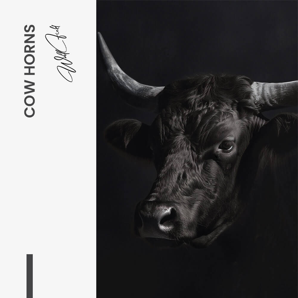 Cow Horns – Glas
