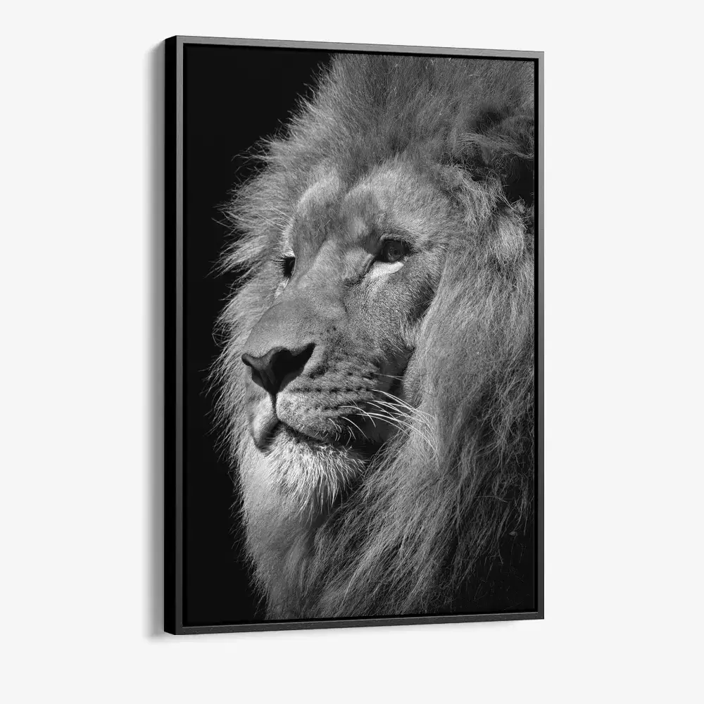 "Regal Depth"