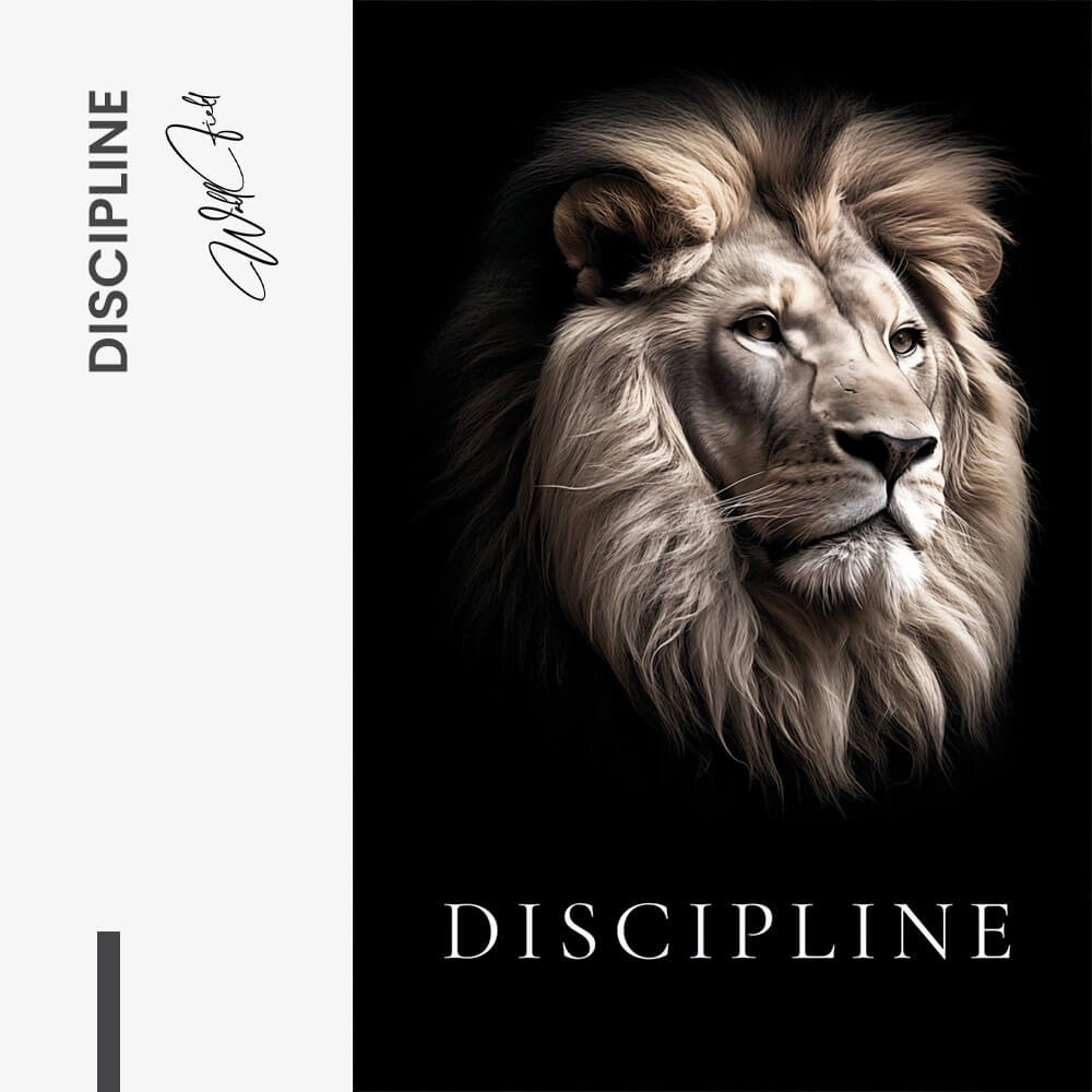 Discipline – Glas