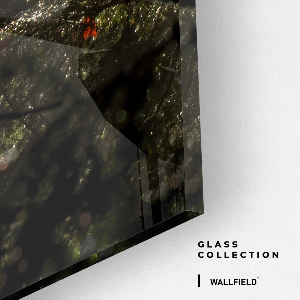 Line of Light – Glas