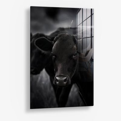 The Cow – Glas