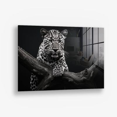 Jaguar HZ – Glas
