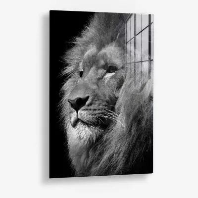 Regal Depth – Glas