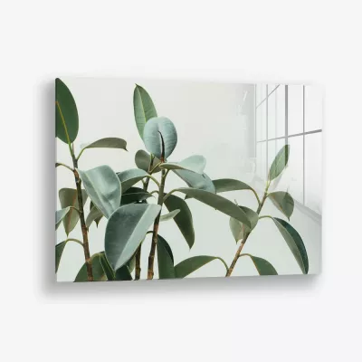 Soft Structure – Glas