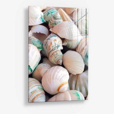 Sea Shell – Glas