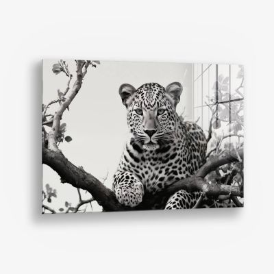 Jaguard In The Tree – Glas