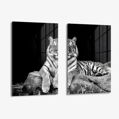 Bundle: "White Tiger" (2x) – Glas