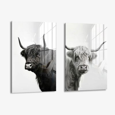 Bundle: "B&W Muscox" (2x) – Glas