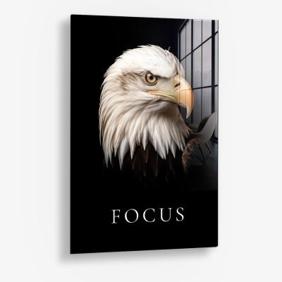 Focus – Glas