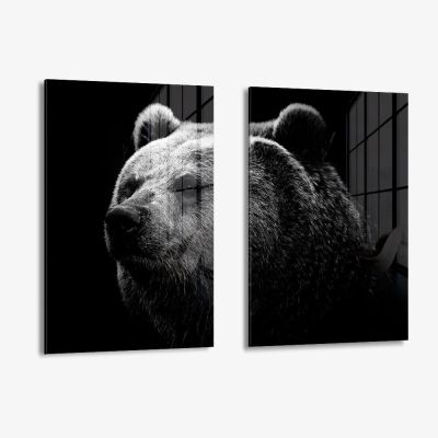 Bundle: "Big Bear" (2x) – Glas