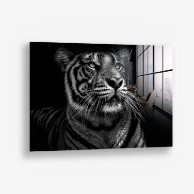 B&W Tiger – Glas