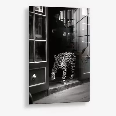 Urban Prowl – Glas