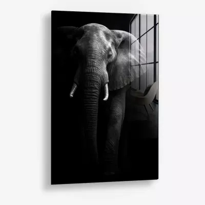 Safari I – Glas