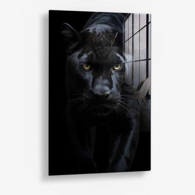 Black Jaguar – Glas
