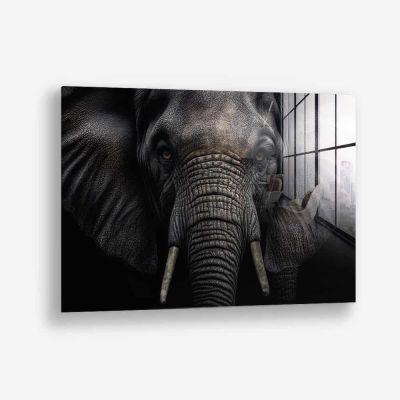 Elephant Close-Up – Glas