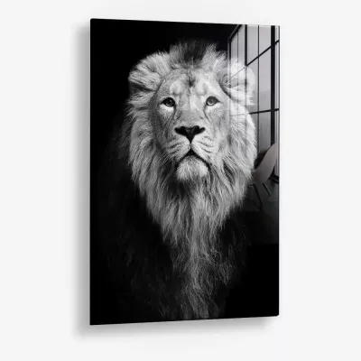 Safari III – Glas