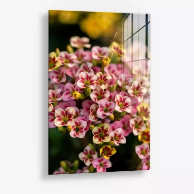 Crimson Ratio – Glas