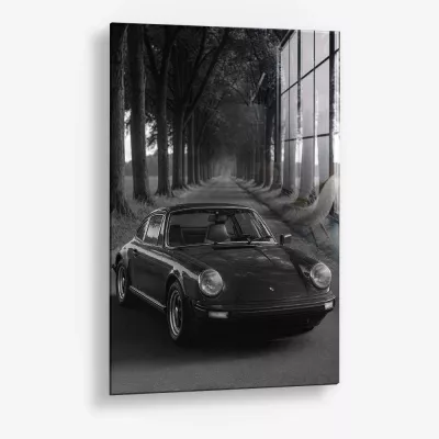 Treeline Porsche – Glas