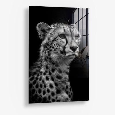 Cheetah's View – Glas