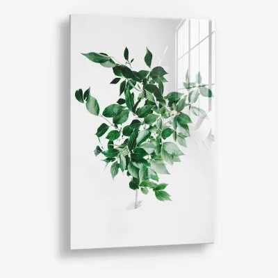 Green Construct – Glas