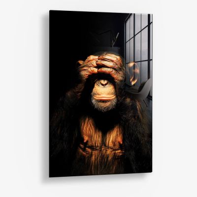 Dark Monkey See no Evil – Glas