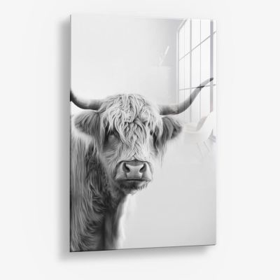 White Muscox – Glas