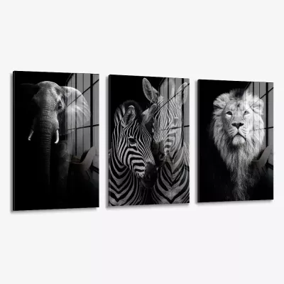 Bundle: "Safari" (3x) – Glas