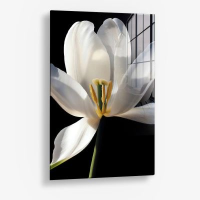 White Flower – Glas