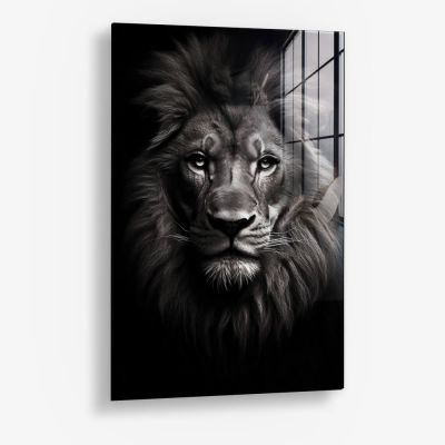 Lion Close-Up - Glas
