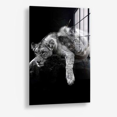 Lion Love – Glas