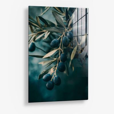 Olive Tree Closeup – Glas