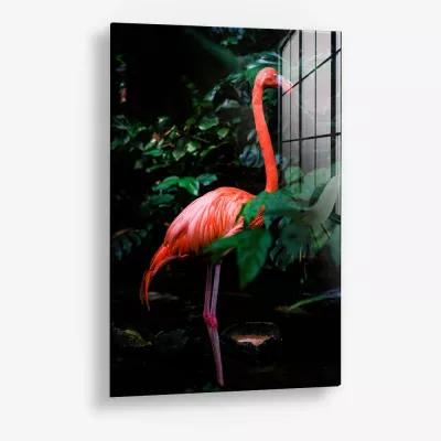 Still in Scarlet – Glas