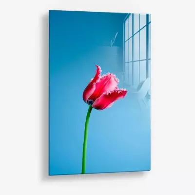 Singular Tulip – Glas