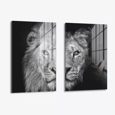 Bundle: "Wild Mirror" (2x) – Glas