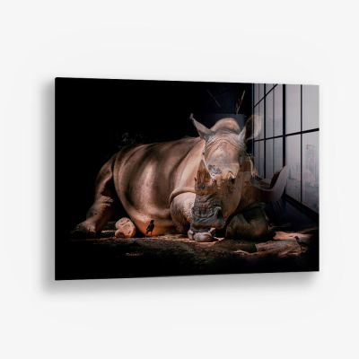 Rhino – Glas